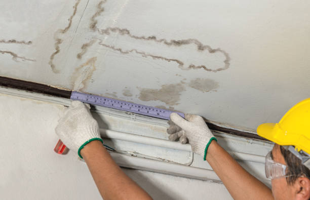 Reliable Water Damage contractor in Allen Park, MI by Water Damage Irwin